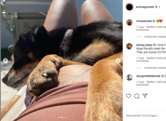 Кто снялся в «Продюсерах на Бродвее»?