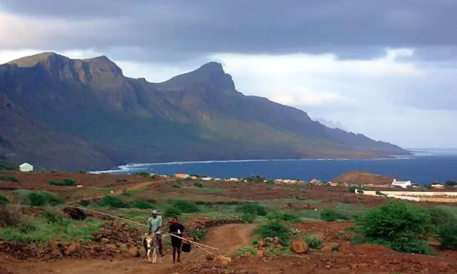 Каким искусством известен Сальвадор Дали?