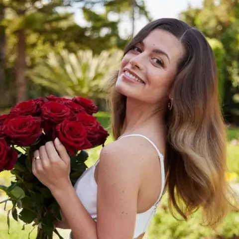 Когда начинается фейерверк в Rose Bowl?