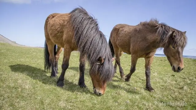Остров Эллис заброшен?