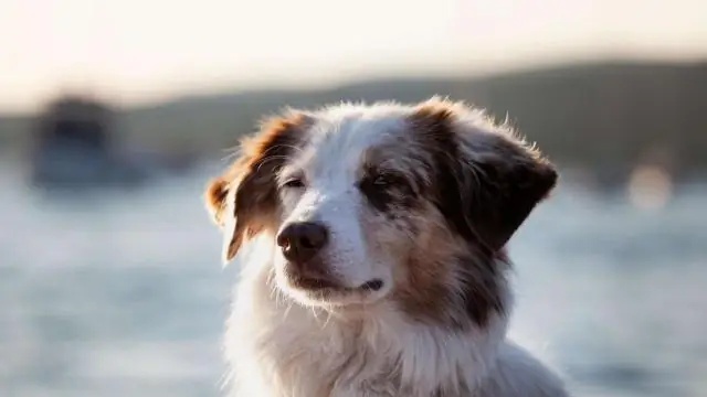 Что делать после смерти человека в Канаде?