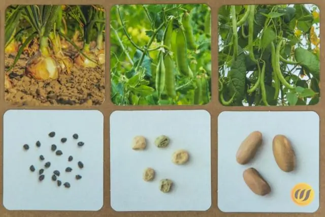 Как измеряется угарный газ?