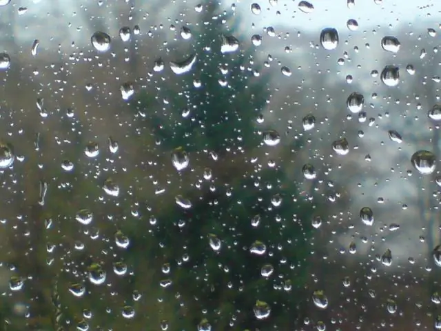 Кто сказал, что война началась у меня во дворе, а закончилась в гостиной?