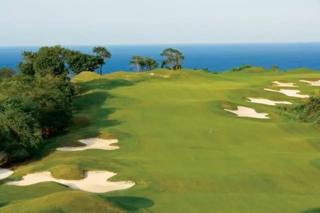 Джимми Баффетт сбегает в Маргаритавиль?