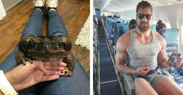 Сколько лет KitKat?