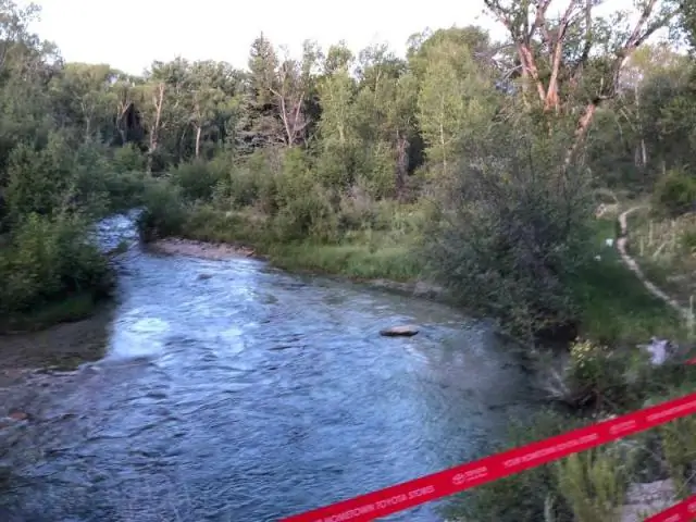 Что Тедди Рузвельт сделал с окружающей средой?