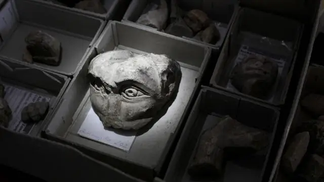 Что визуальные артефакты могут рассказать нам об истории человечества?