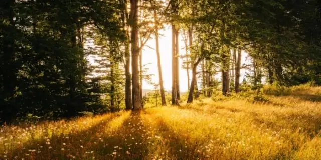 Что мне делать за 3 месяца до свадьбы?