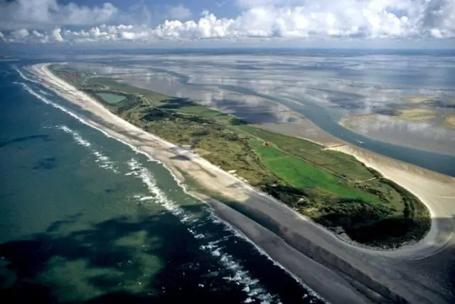 Где целующийся моряк?