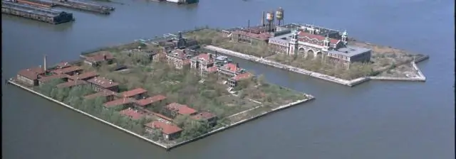 Сколько иммигрантов было отправлено домой с острова Эллис?