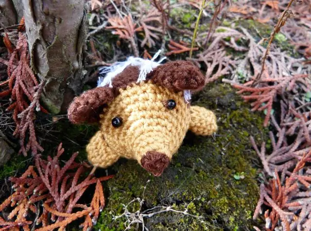 Чем заняться в Ланкастере, штат Пенсильвания, на Рождество?