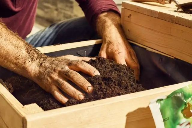 Нужна ли бугенвиллии кислая почва?