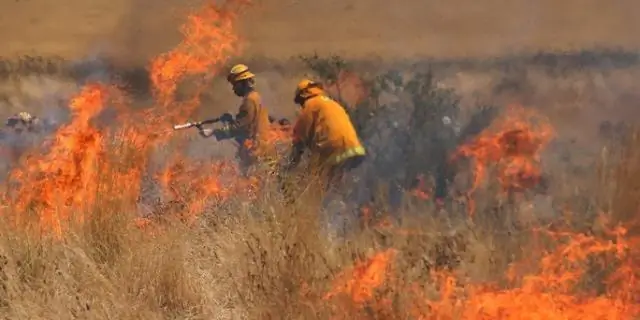 Как мне одеться на похороны в Австралии?