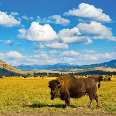 Чем заняться зимой в Блэк-Хиллз?