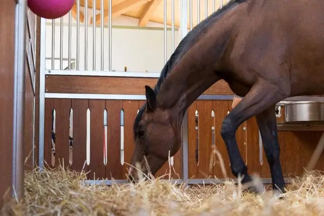 Что означает 12-я ночь?