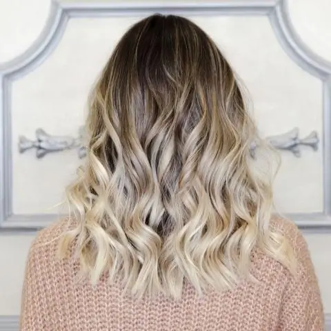 Когда можно принимать черенки лавра?