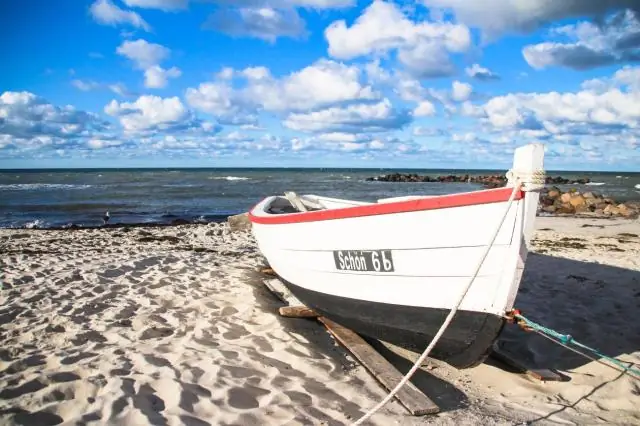 Можно ли поохотиться на песчаных журавлей в Калифорнии?