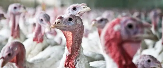 Почему это иронично, что Скрудж решил молиться, когда он нервничал, испугался?