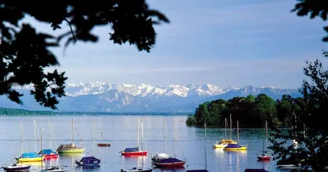 Что такое магия раннего утра Диснея?