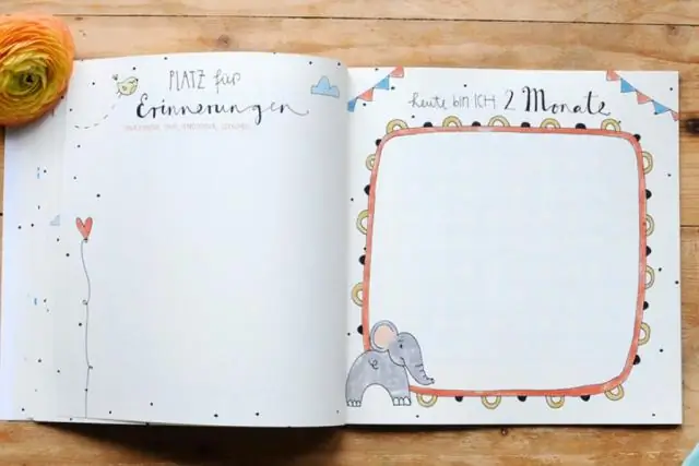 Что мне следует внести в реестр новорожденных для близнецов?