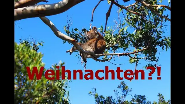 Как называется Рождество в Великобритании?