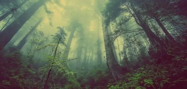 Является ли «Пребывание со мной» католическим гимном?