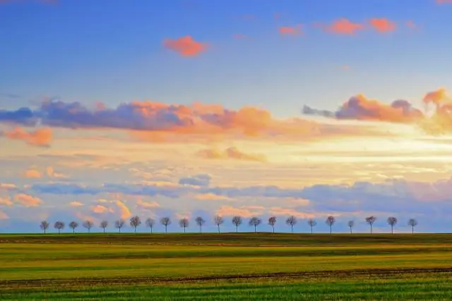 За что отвечает фрейлина?