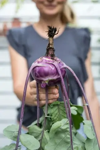 Почему вы сажаете бархатцы в огороде?