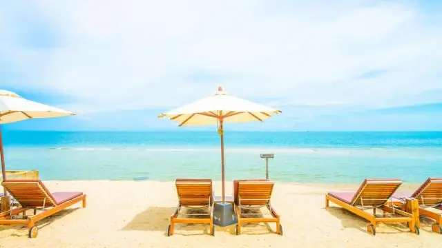 Как долго дубы живут во Флориде?