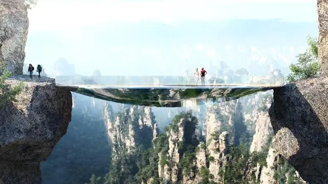 Как вырастить семена французских бархатцев?