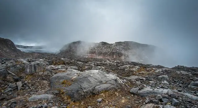 Во что мне надеть мухоловку Venus?