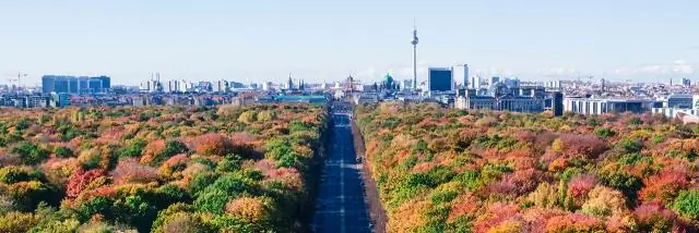 Какие события произошли во время Берлинской стены?