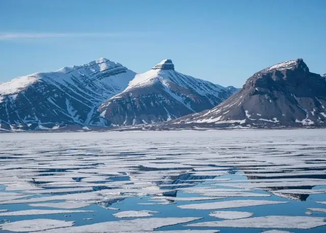 Когда поселенцы начали двигаться на запад?