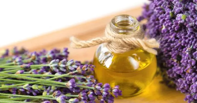 Чем вам могут помочь CDE?