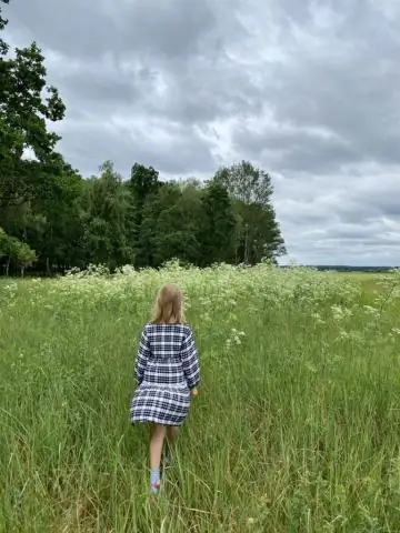 Как вы объясните дошкольникам 4 июля?