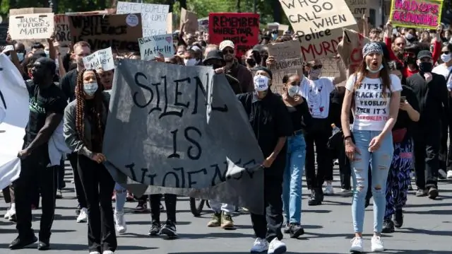 Как расколоть куст гибискуса?