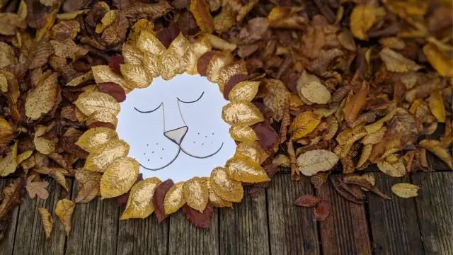 Где лучше всего устроить вечеринку?