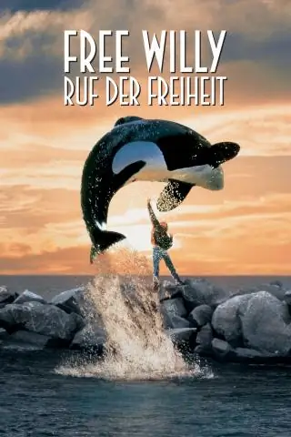 Настоящий ли кит в Free Willy?