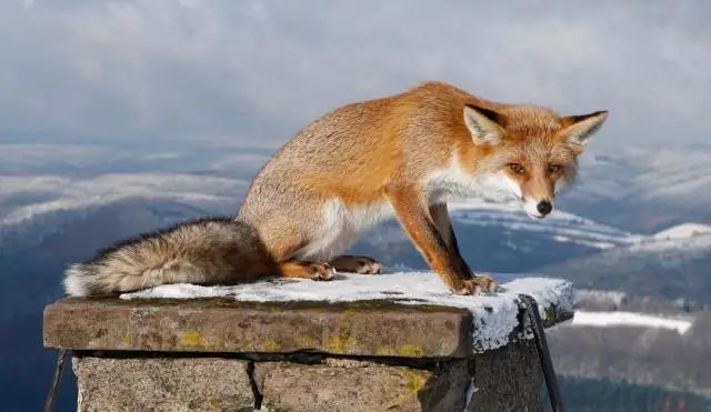 Что подарить папе, у которого все есть?