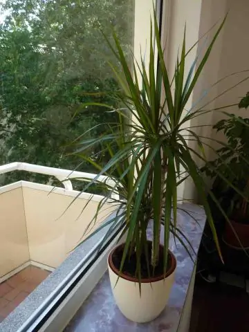 Чем занимается кассир-кассир?