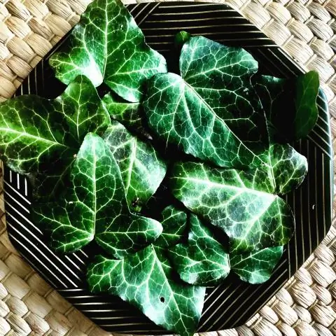 Какие нитраты используются в растениях?