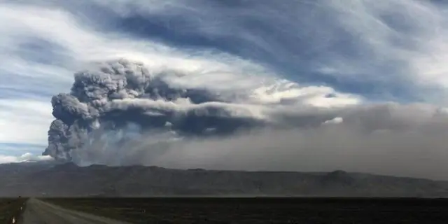 Как нитраты влияют на рост водорослей?