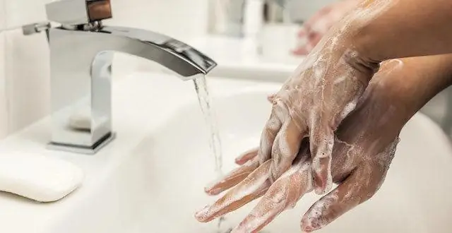 Как дезинфицировать черенки растений?