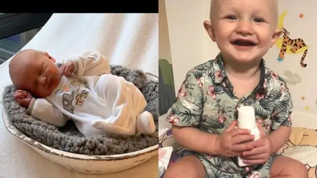 Как сделать розу из пальмовых листьев?