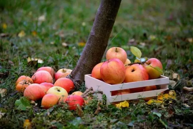 Пенсильвания прекрасна?