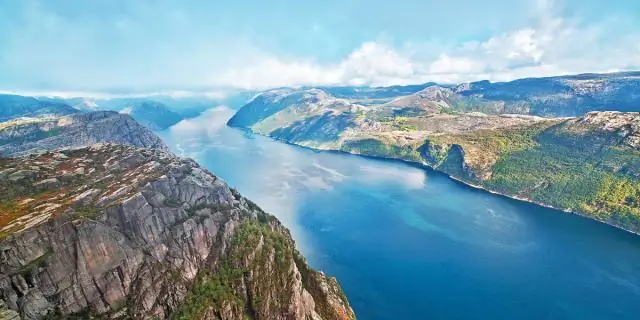 Сколько там плантаций?