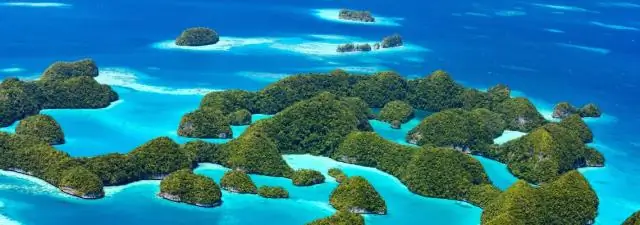 Есть ли в Австралии аисты?