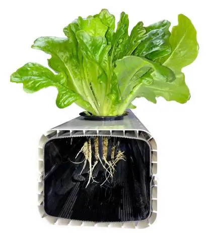 Что такое питательный раствор для гидропоники?