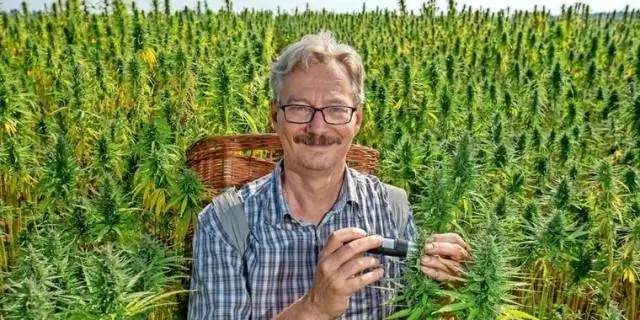 Сколько гектаров считается мини-фермой?