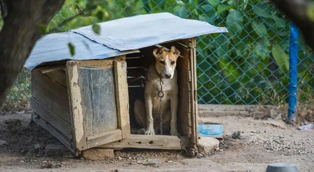 Сколько стоит построить домик для собачьей рыси?